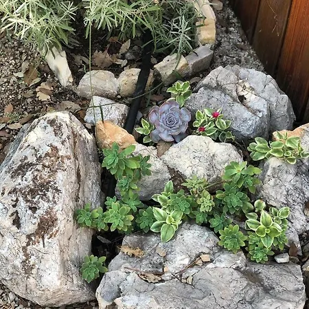 Baobab Mobile Homes 4*