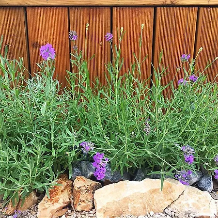 Baobab Mobile Homes Feriepark Biograd Na Moru