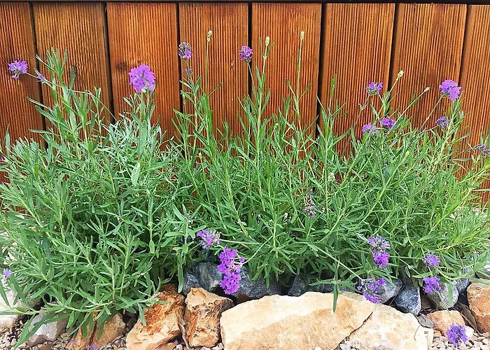 Baobab Mobile Homes Kompleks wypoczynkowy Biograd Na Moru