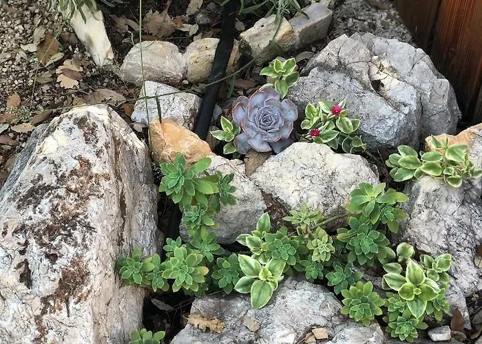 Baobab Mobile Homes 4*